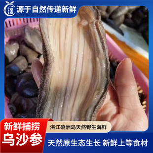 乌沙参新鲜海参冷冻水产3斤5斤装