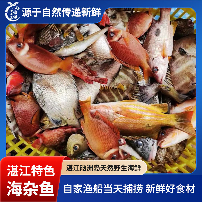 湛江硇洲岛天然海捕杂鱼海鱼石斑腊鱼石头缝鱼 鲜活速冻海鱼仔