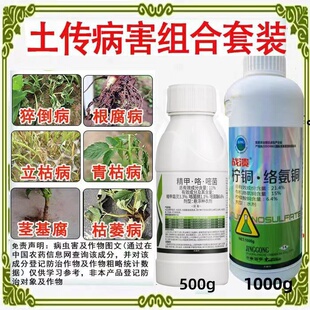 精甲霜灵咯菌腈嘧菌酯柠铜络氨铜番茄青枯草莓槟榔大姜枯萎根腐病