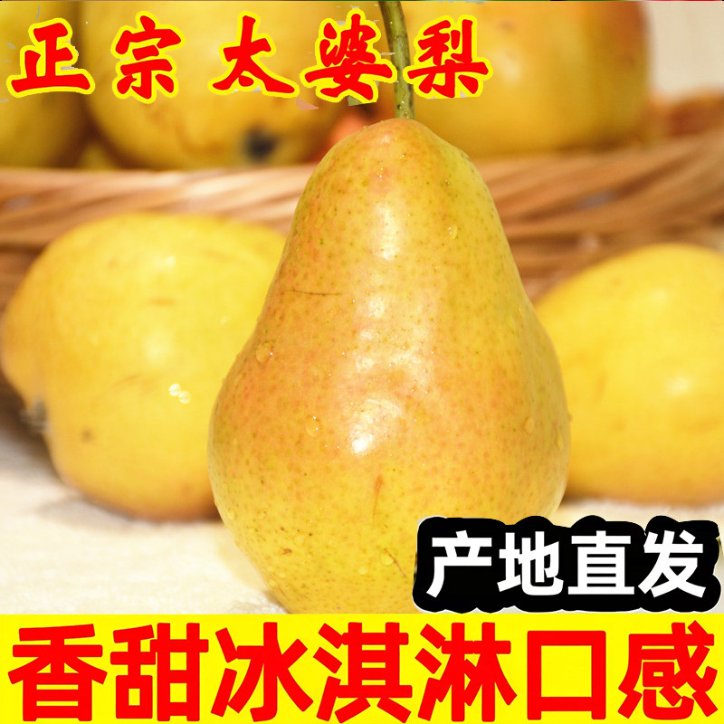 烟台太婆梨顺丰大头梨软糯