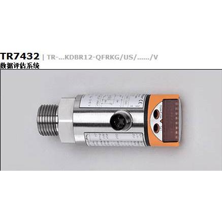 议价（）易福门 IV5004 O6T202 罚