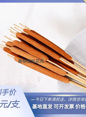 蒲棒干花干草天然风干中式花水