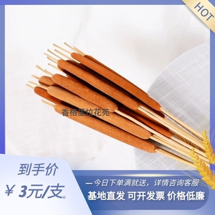 蒲棒干花干草天然风干植物中式家居装饰摆件拍摄道具落地花水蜡烛