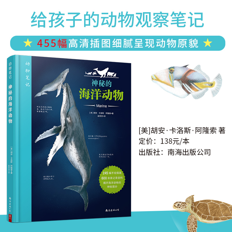 ڲʼ:صĺ 245廭600¼ͼٿȫ߽صĺ׶麣ﶯٿƴȫСѧ 61.6Ԫ