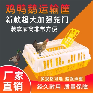 运输笼鸡笼塑料家禽周转箱筐成鸡鸭鹅鸽子笼子家用大号兔笼养殖笼