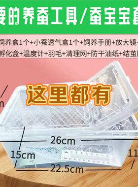 彩色蚕宝宝三年级小学生蚕宝宝养蚕套餐饲养工具全套套装金丝蚕卵