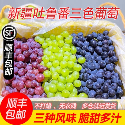 顺丰包邮新疆吐鲁番新鲜葡萄4斤