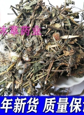野生一点红中草药叶下红新鲜晒干羊蹄草广西红叶草红背叶药材无硫