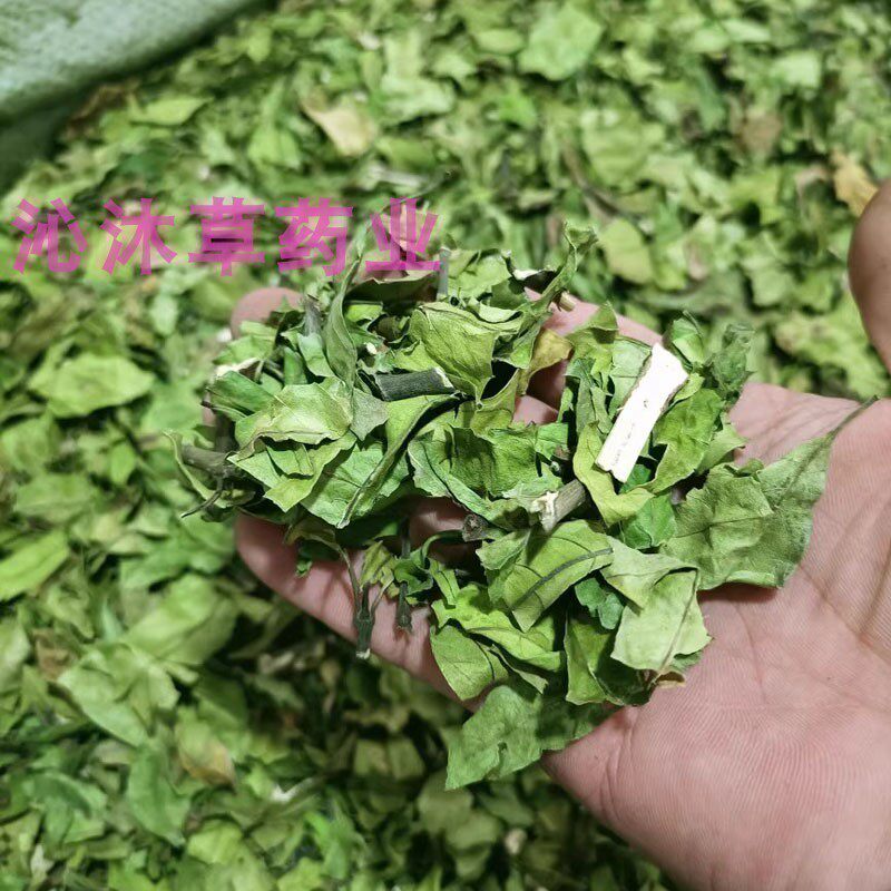 小驳骨中药材驳骨草广西驳骨丹铁打肿伤草小接骨筒乌骨黄藤接骨木