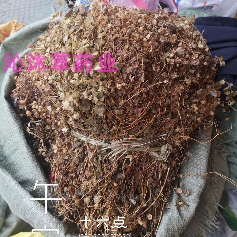 正宗穿心草中药材串钱草500克 穿狮子草 穿钱草 正宗广西穿心蒡草