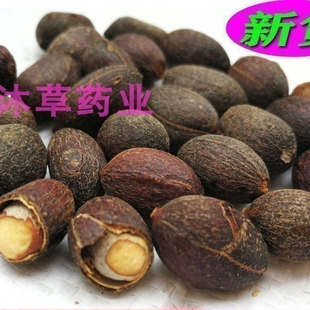 野生葵扇子果干中药材葵扇籽大粒葵树籽仁成熟老果蒲葵籽米蒲扇子