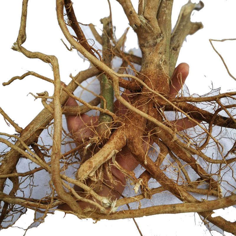 磨盘根中药材响耳草 磨盘草根 磨盆根 磨盆草 帽仔盾头500克包邮