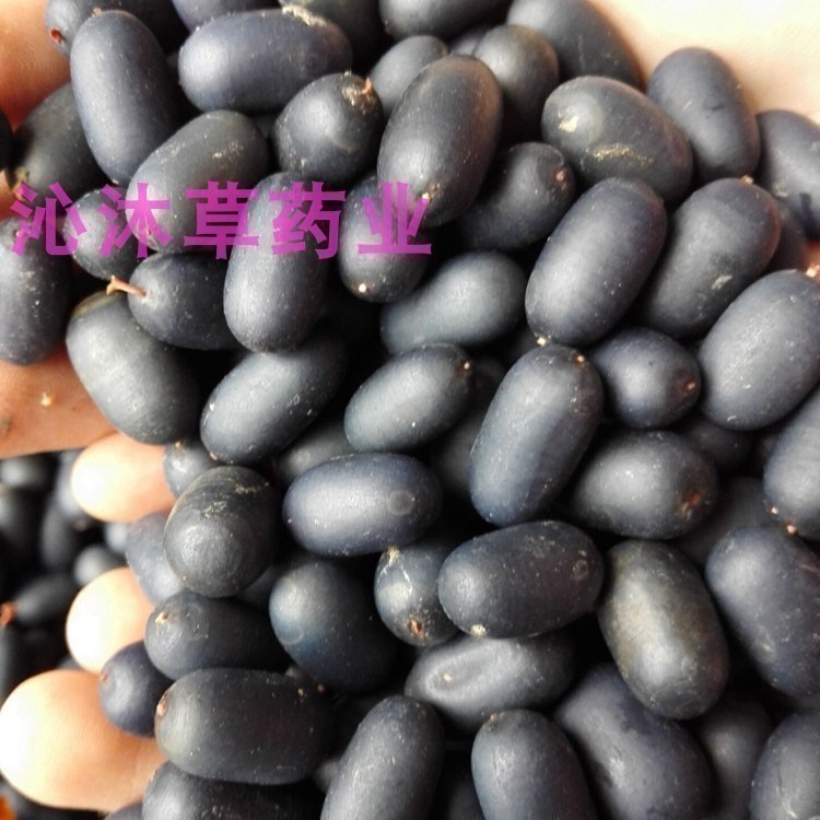中药材双肾子500g克石连子