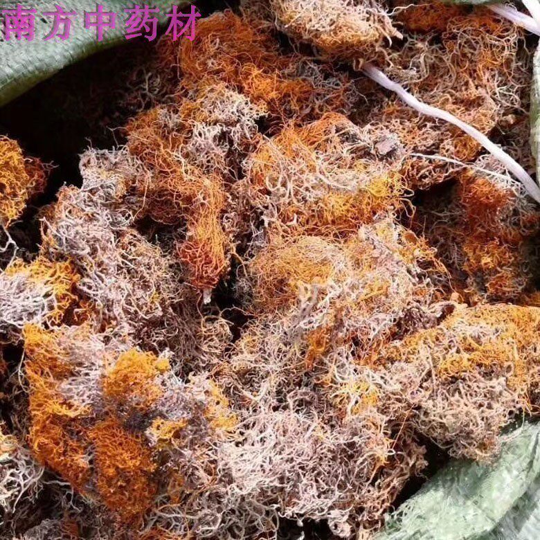 高原 金丝红雪茶西藏金丝茶鹿心茶 红血茶500克 金刷把非云南