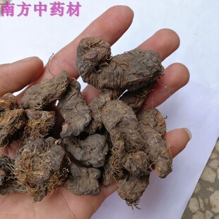 紫参中药材拳参化骨莲正宗红蚤休草河车地虾草血竭老腰弓倒草根