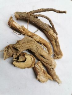 正宗了哥王根中药材了哥歌王根头新货中草药地棉根带皮广西贼佬药