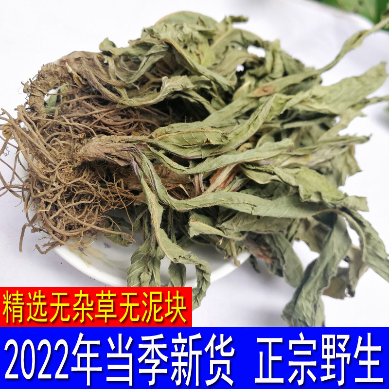 新鲜干货500中草药地胆草