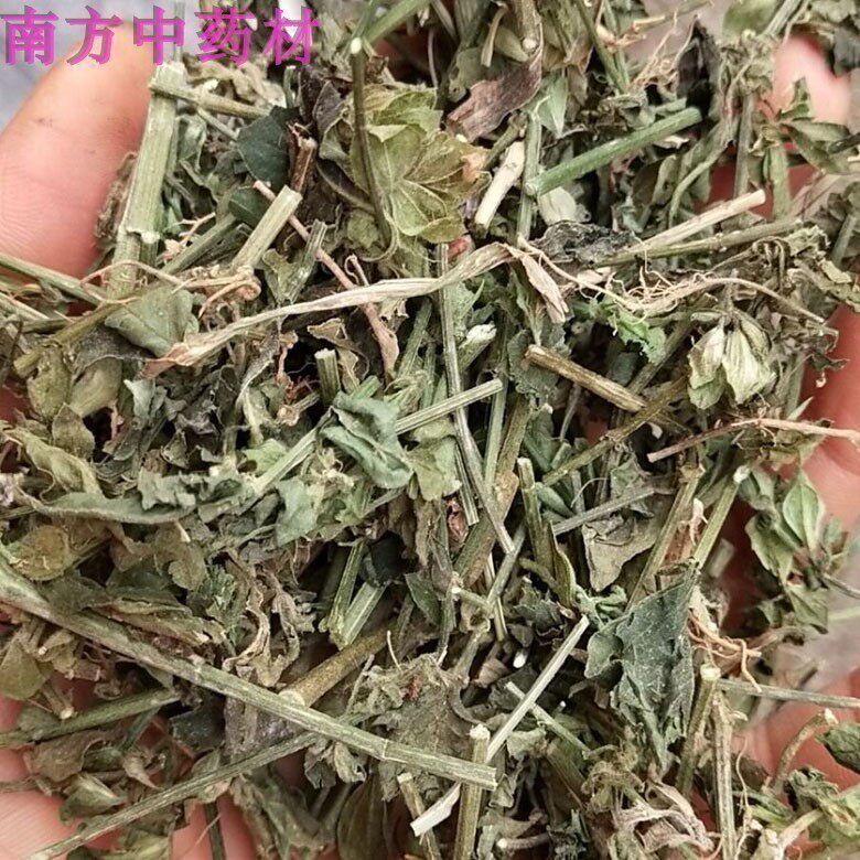 六角英草药 狗肝菜中草药猪肝菜路边青羊肝菜500克 包邮
