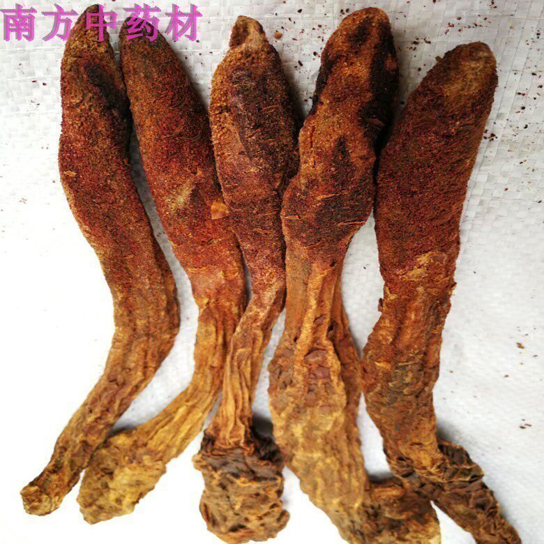 正宗甘肃锁阳中药材500克金锁阳泡酒泡茶煲汤 新鲜干货 可磨粉