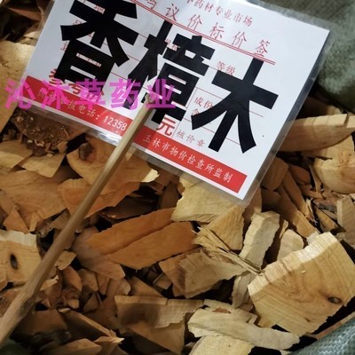 广西香樟木中药材樟树木香樟木片