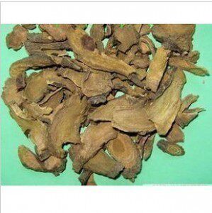 中药材羊蹄根 羊蹄牛耳大黄水大黄 水根王土大黄500克 中药材店铺