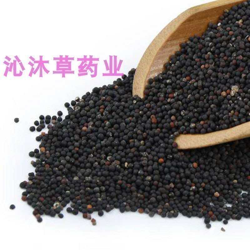 王不留行籽500g克正宗中药材