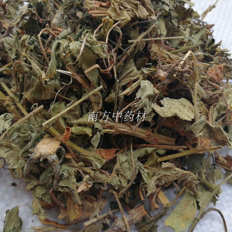 野生仙鹤草中草药龙牙草狼牙草脱力草地仙草瓜香草狼芽草500g包邮