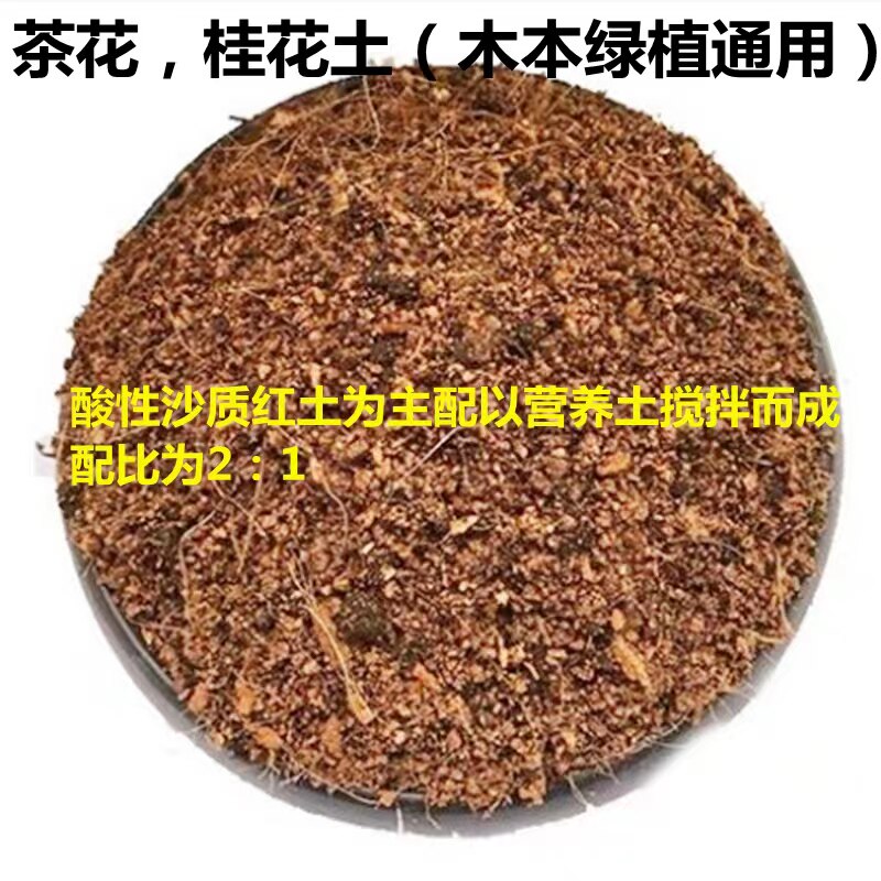桂花专用土 杜鹃花土 茶花土 君子兰土肥料园艺用品