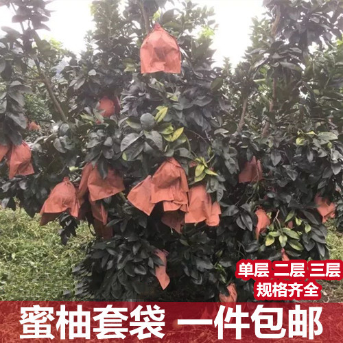 柚子专用套袋三红心沙田蜜柚葡萄柚水果保护纸袋防水防虫鸟二三层