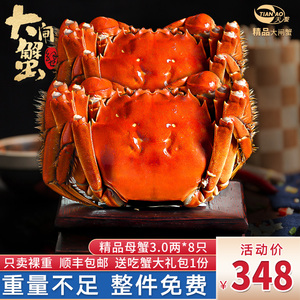 高端湖蟹