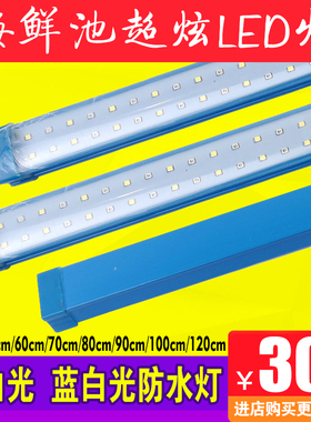 螃蟹海鲜池鱼缸LED照明灯节能防水方管蓝色外壳PVC管道配件灯光不