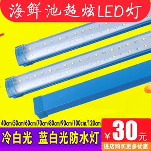 螃蟹海鲜池鱼缸LED照明灯节能防水方管蓝色外壳PVC管道配件灯光不