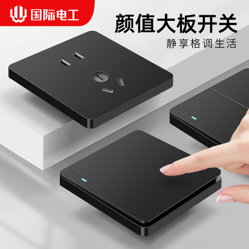 国际电工10A黑色86型15年