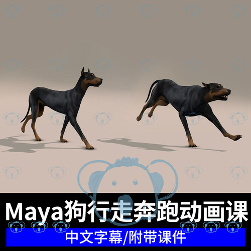 Maya四足动物狗行走循环生物力学零基础初学者奔跑周期动画教程