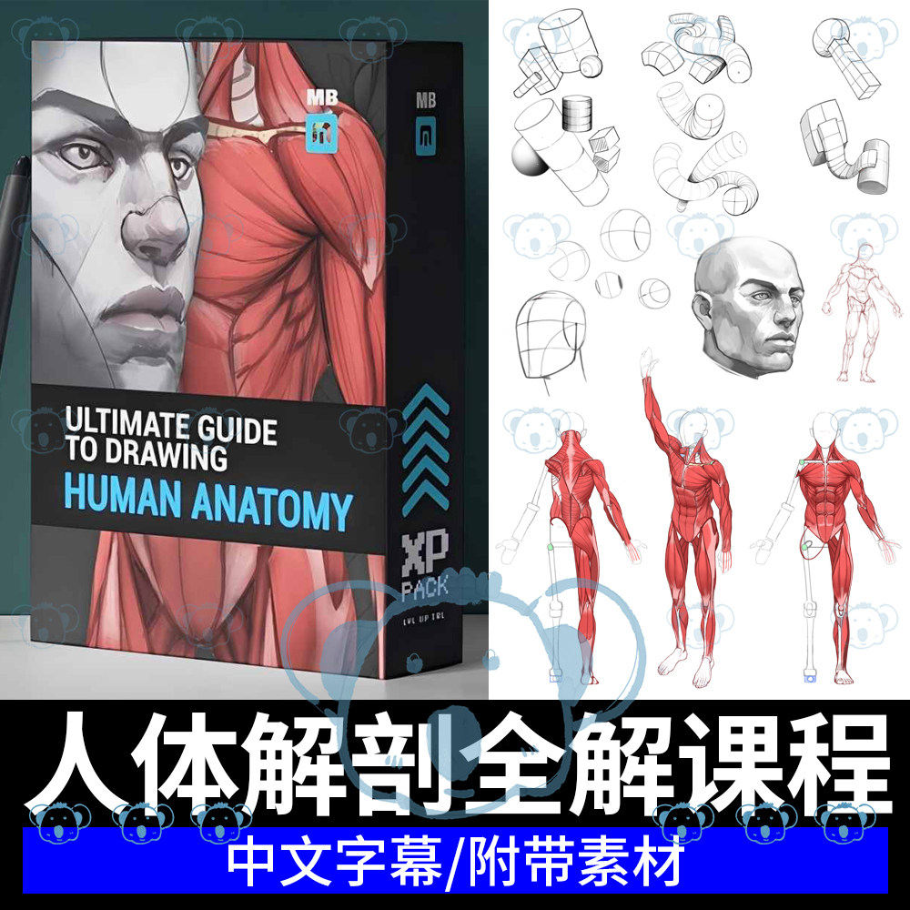 人体解剖系统课人物手足头部全身骨骼肌肉动作姿势绘画大师教程,商务/设计服务,设计素材/源文件,淘宝优惠券,粉丝福利购,淘宝优惠卷