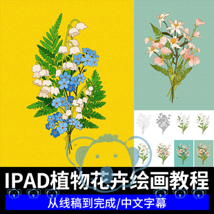 ipad植物花卉绘画课程procreate鲜花花束盆栽线稿上色插画教程