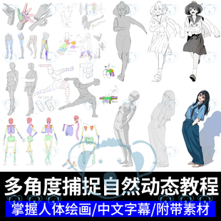 人物动态姿势绘画教学动漫动画角色构成人体结构多角度动作姿态课