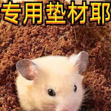 仓鼠宠沙过冬专用土蜘蛛饲养垫材缸龟箱巴西椰爬椰陆冬眠砖乌龟