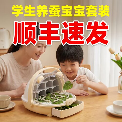 新鲜桑叶幼蚕蚕宝宝活体籽龄生太空舱学生养蚕七彩蚕卵桑叶套装活