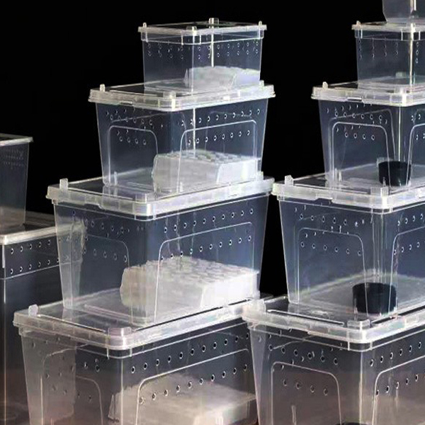 太空舱蚕宝宝饲养箱透明蚕卵