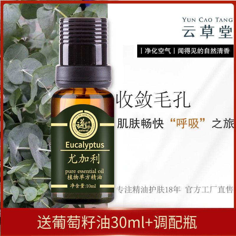 10ml收敛毛孔提神醒脑尤加利精油