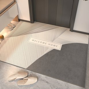 皮革高级感防滑PVC可擦免洗入户门地垫门口进门脚垫2026新款地毯