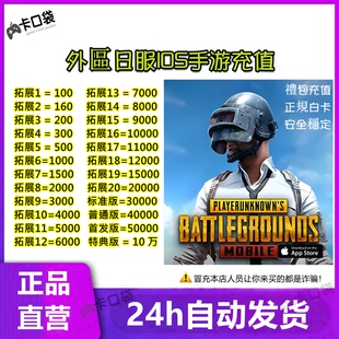 10000点数PUBGM 3000 日服国际服手游商城礼品卡礼包点数500 1000