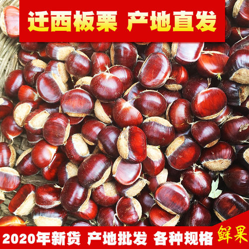 迁西板栗生新鲜100斤产地直发正宗各种规格小粒中粒小标大标特