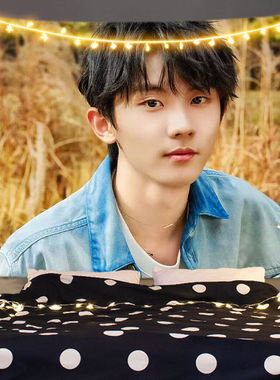 马嘉祺背景布明星海报周边挂布挂毯学校宿舍床头房间装饰背景墙布