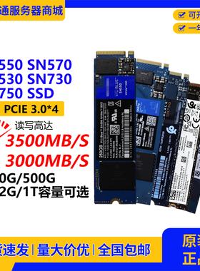 SN550 530 570 750 730固态硬盘M.2 250 512 500 1TB SSD PCIE3.0