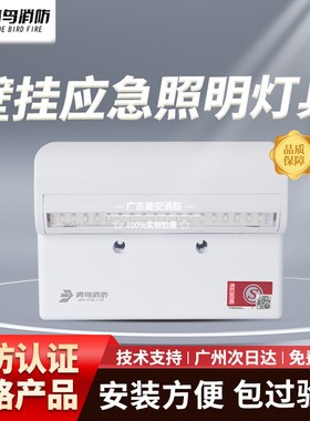 青鸟J-ZFJC-E3W-17B2壁挂应急照明灯具