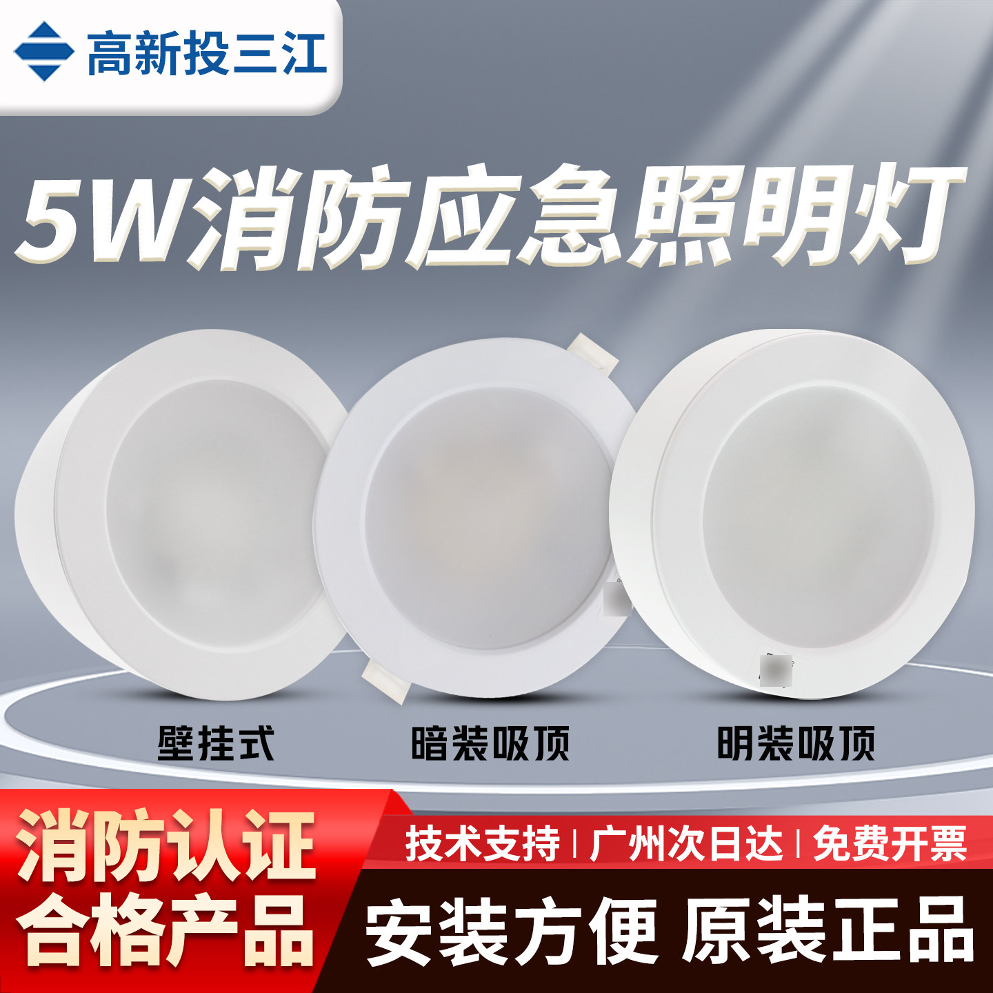 泛海三江E5W/ZQ5C消防应急照明灯