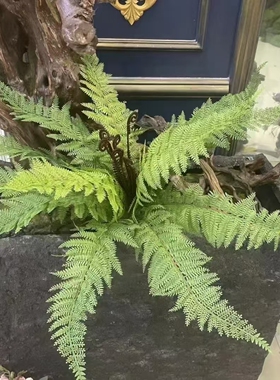 高品质手感大蕨叶蕨草假草