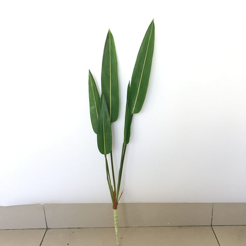 仿真水竹芋水竹叶绿枝叶 仿真树枝绿色植物假花鹤望兰装饰插花 - 封面